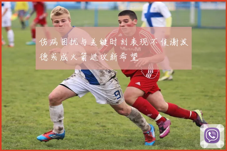 伤病困扰与关键时刻表现不佳谢泼德或成火箭进攻新希望